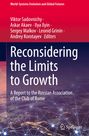 : Reconsidering the Limits to Growth, Buch