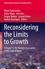 : Reconsidering the Limits to Growth, Buch