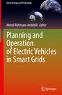 : Planning and Operation of Electric Vehicles in Smart Grids, Buch