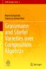 Francisco Gómez Ruiz: Grassmann and Stiefel Varieties over Composition Algebras, Buch