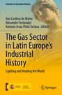 : The Gas Sector in Latin Europe¿s Industrial History, Buch