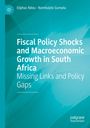 Nombulelo Gumata: Fiscal Policy Shocks and Macroeconomic Growth in South Africa, Buch