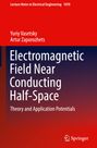 Artur Zaporozhets: Electromagnetic Field Near Conducting Half-Space, Buch