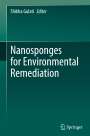 : Nanosponges for Environmental Remediation, Buch