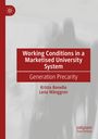 Lena Wånggren: Working Conditions in a Marketised University System, Buch