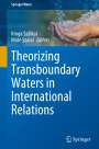 : Theorizing Transboundary Waters in International Relations, Buch