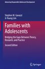 Ji-Young Lim: Families with Adolescents, Buch