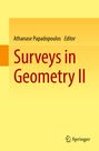 : Surveys in Geometry II, Buch