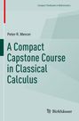 Peter R. Mercer: A Compact Capstone Course in Classical Calculus, Buch
