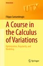 Filippo Santambrogio: A Course in the Calculus of Variations, Buch