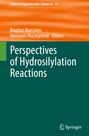 : Perspectives of Hydrosilylation Reactions, Buch