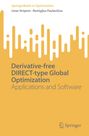 Remigijus Paulavi¿ius: Derivative-free DIRECT-type Global Optimization, Buch