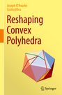 Costin Vîlcu: Reshaping Convex Polyhedra, Buch