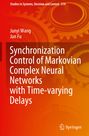 Jun Fu: Synchronization Control of Markovian Complex Neural Networks with Time-varying Delays, Buch