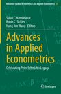 Advances in Applied Econometrics, Buch