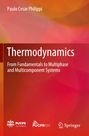 Paulo Cesar Philippi: Thermodynamics, Buch