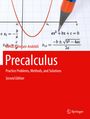 Mehdi Rahmani-Andebili: Precalculus, Buch