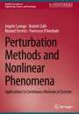 Angelo Luongo: Perturbation Methods and Nonlinear Phenomena, Buch