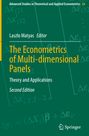 : The Econometrics of Multi-dimensional Panels, Buch