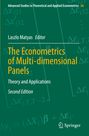 : The Econometrics of Multi-dimensional Panels, Buch