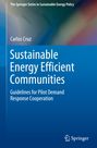 Carlos Cruz: Sustainable Energy Efficient Communities, Buch