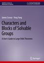 Yong Yang: Characters and Blocks of Solvable Groups, Buch