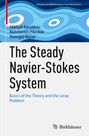 Mikhail Korobkov: The Steady Navier-Stokes System, Buch