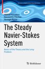 Mikhail Korobkov: The Steady Navier-Stokes System, Buch