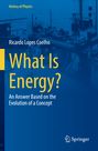 Ricardo Lopes Coelho: What Is Energy?, Buch