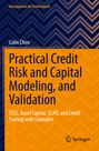 Colin Chen: Practical Credit Risk and Capital Modeling, and Validation, Buch