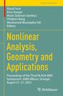 : Nonlinear Analysis, Geometry and Applications, Buch