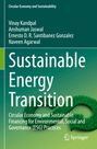 Vinay Kandpal: Sustainable Energy Transition, Buch