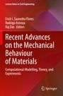 : Recent Advances on the Mechanical Behaviour of Materials, Buch