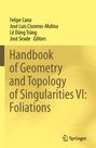 : Handbook of Geometry and Topology of Singularities VI: Foliations, Buch