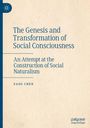 Yang Chen: The Genesis and Transformation of Social Consciousness, Buch