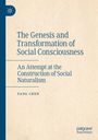 Yang Chen: The Genesis and Transformation of Social Consciousness, Buch