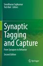 : Synaptic Tagging and Capture, Buch