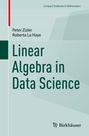 Roberta La Haye: Linear Algebra in Data Science, Buch