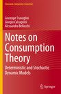 Giuseppe Travaglini: Notes on Consumption Theory, Buch