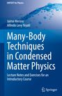 Alfredo Levy Yeyati: Many-Body Techniques in Condensed Matter Physics, Buch