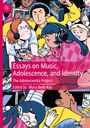 : Essays on Music, Adolescence, and Identity, Buch