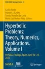 : Hyperbolic Problems: Theory, Numerics, Applications. Volume I, Buch