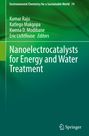 : Nanoelectrocatalysts for Energy and Water Treatment, Buch