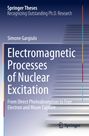 Simone Gargiulo: Electromagnetic Processes of Nuclear Excitation, Buch