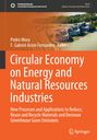 : Circular Economy on Energy and Natural Resources Industries, Buch