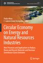 : Circular Economy on Energy and Natural Resources Industries, Buch