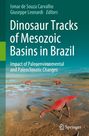 : Dinosaur Tracks of Mesozoic Basins in Brazil, Buch