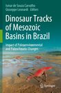 : Dinosaur Tracks of Mesozoic Basins in Brazil, Buch