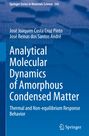 José Reinas Dos Santos André: Analytical Molecular Dynamics of Amorphous Condensed Matter, Buch