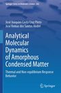 José Joaquim Costa Cruz Pinto: Analytical Molecular Dynamics of Amorphous Condensed Matter, Buch